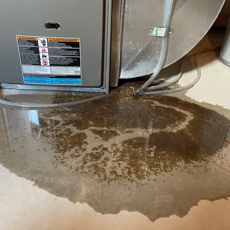 Appliance Leak Cleanup in Lassen County, CA