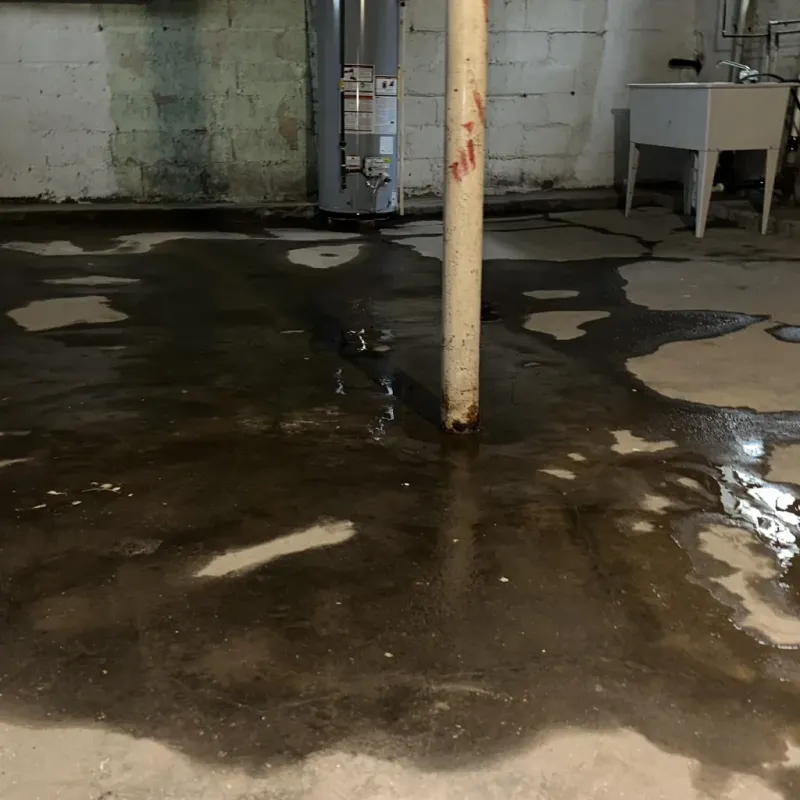 Emergency Water Extraction And Removal in Lassen County, CA